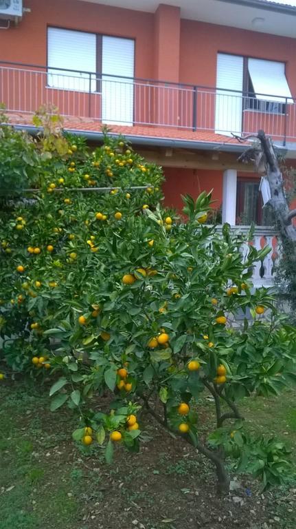 Apartment Anny Pula Exterior photo